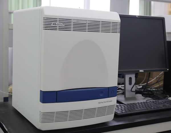 ABI7500荧光定量PCR仪