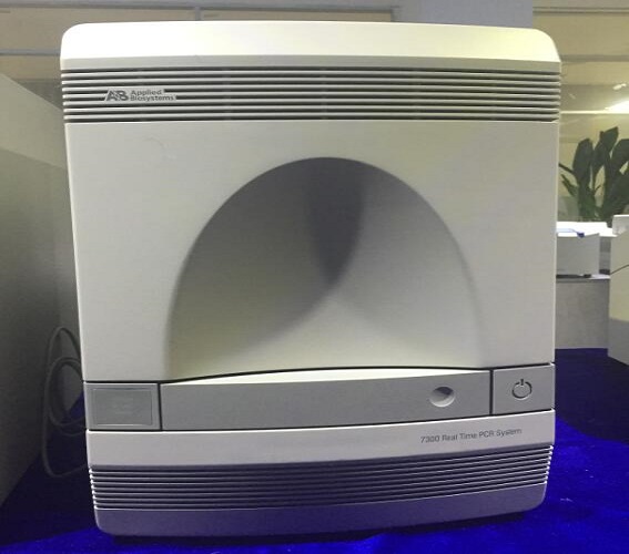 ABI7300型荧光定量PCR仪
