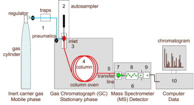 气质联用仪数据处理步骤_气质联用数据处理_气质联用仪数据分析