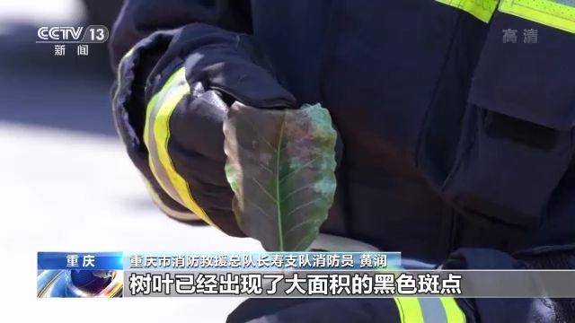 气质联用样品要求_气质联用仪进样瓶_气质联用仪进样体积