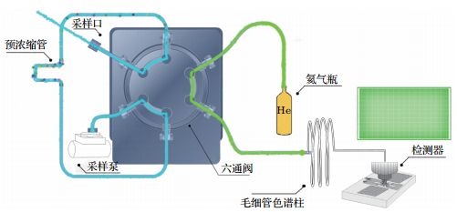 仪色谱检测气相项目是什么_气相色谱仪检测哪些项目_仪色谱检测气相项目有哪些