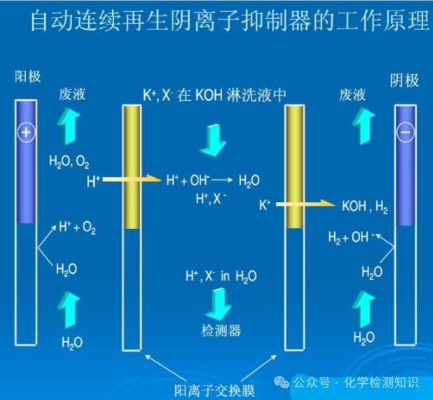 离子色谱淋洗液配制比例_离子色谱仪中淋洗液的作用_离子色谱仪如何抑制淋洗液的电导